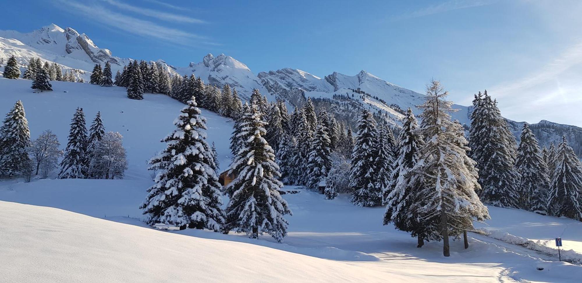 Appartement Cosy Face Aux Aravis เลอกรองด์บอร์นอง ภายนอก รูปภาพ