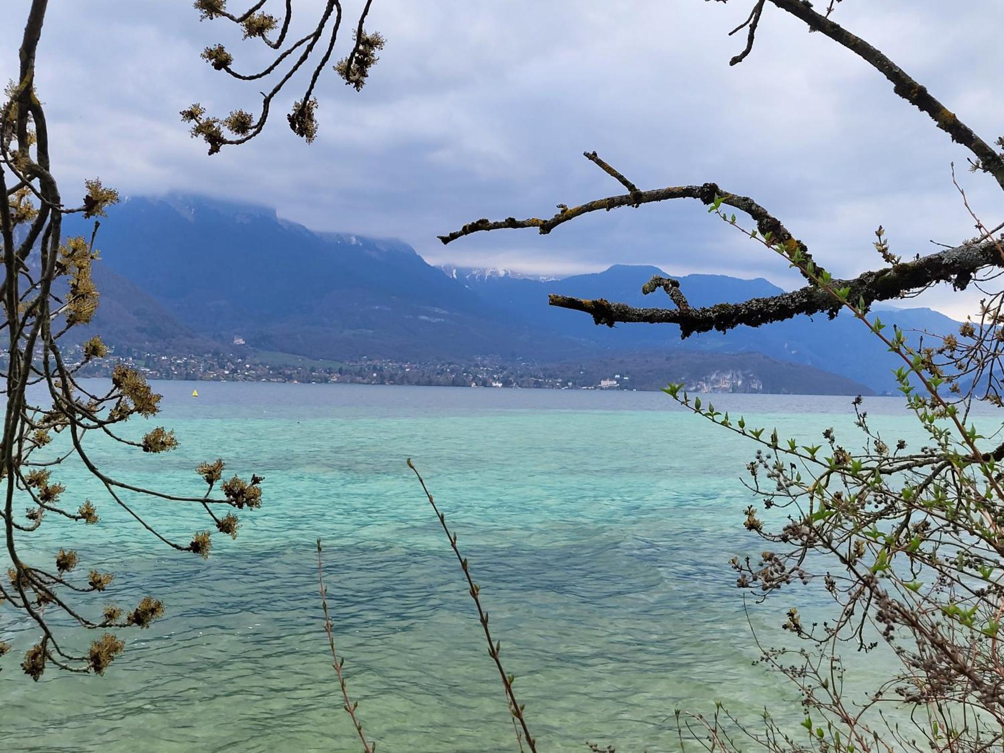 Appartement Cosy Face Aux Aravis เลอกรองด์บอร์นอง ภายนอก รูปภาพ