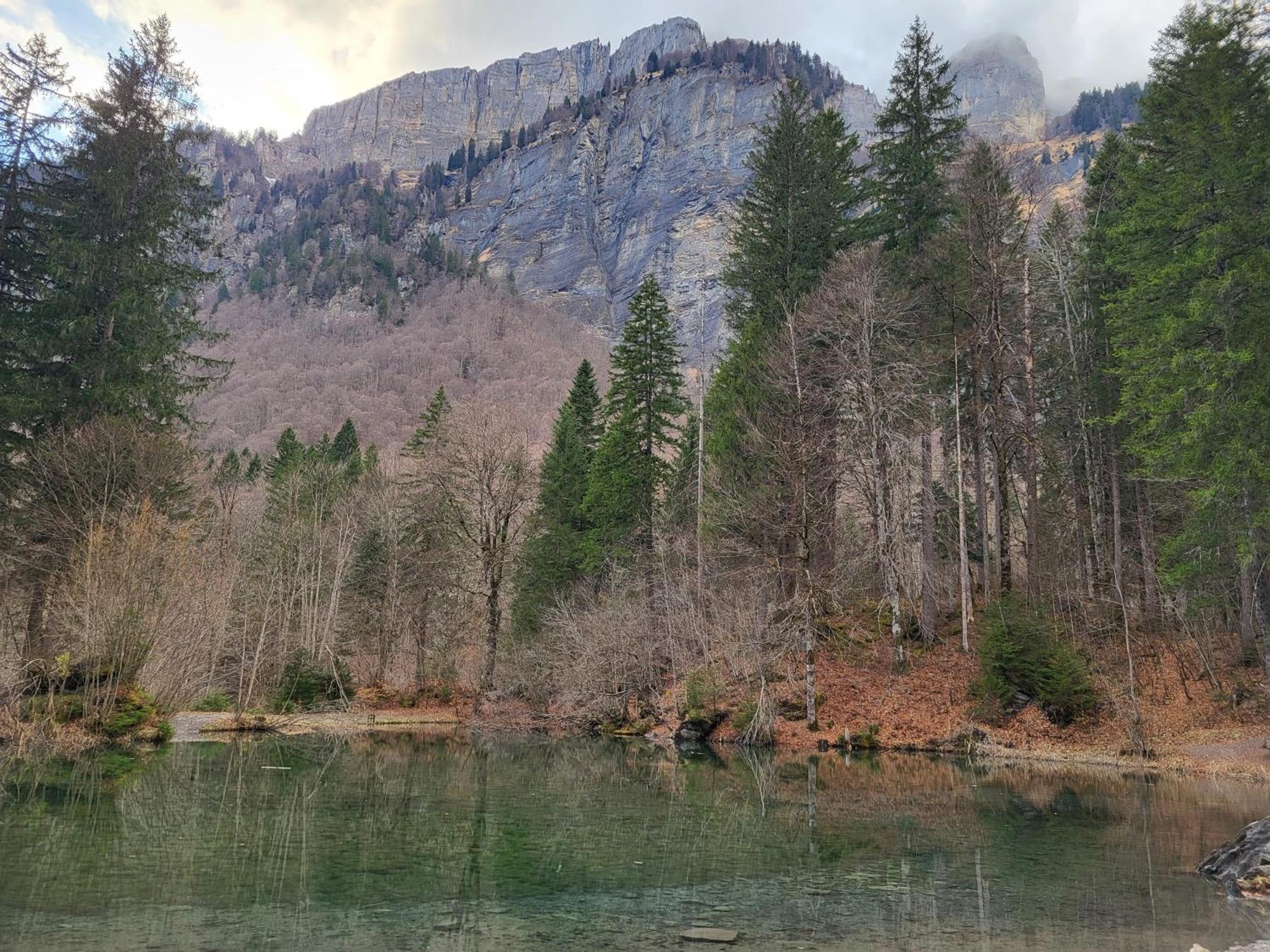 Appartement Cosy Face Aux Aravis เลอกรองด์บอร์นอง ภายนอก รูปภาพ